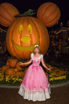 Pink Cinderella Costume