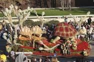 IMG_7154